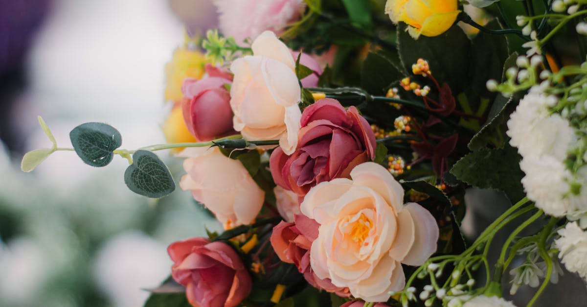 A Guide to Low-Water-Need Flowers for Blackwood