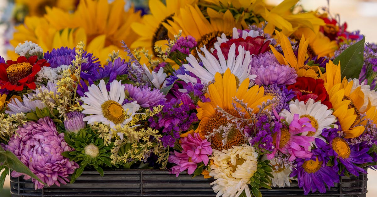 Attracting Bees: The Best Pollinator-Friendly Flowers for Blackwood Gardens