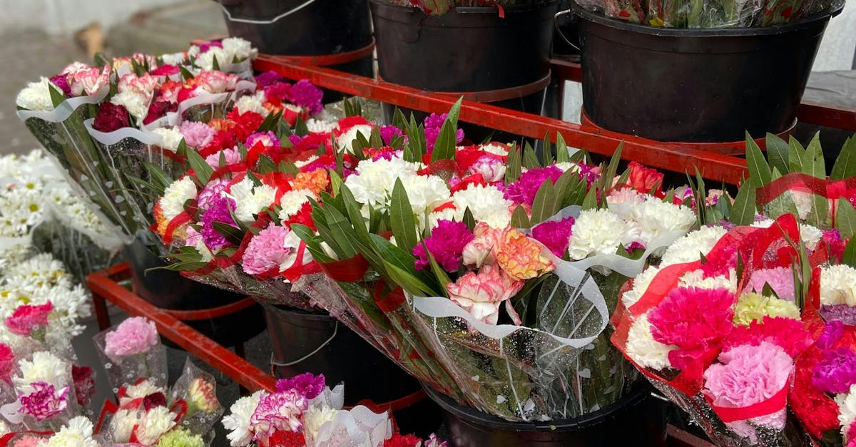 Avoiding Over-Fertilisation: Signs to Watch in Blackwood