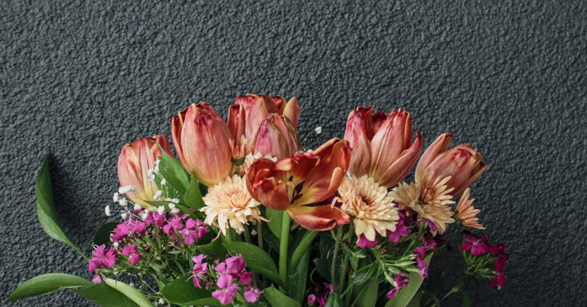 Best Practices for Watering Blackwood Flowers in Containers