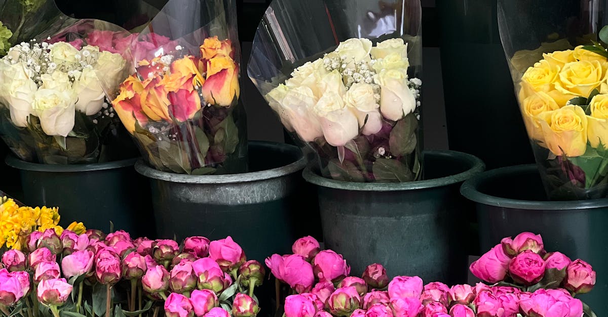 Designing with Drought-Resistant Flowers in Blackwood