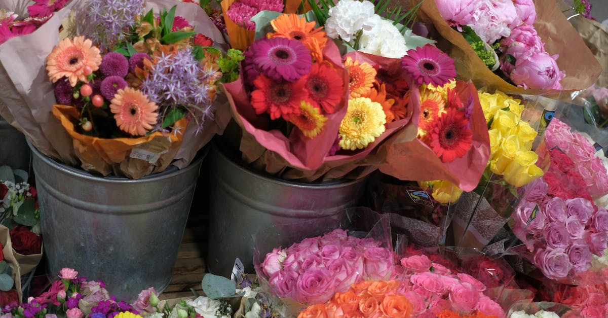 Discovering the Resilience of Sturt Desert Pea