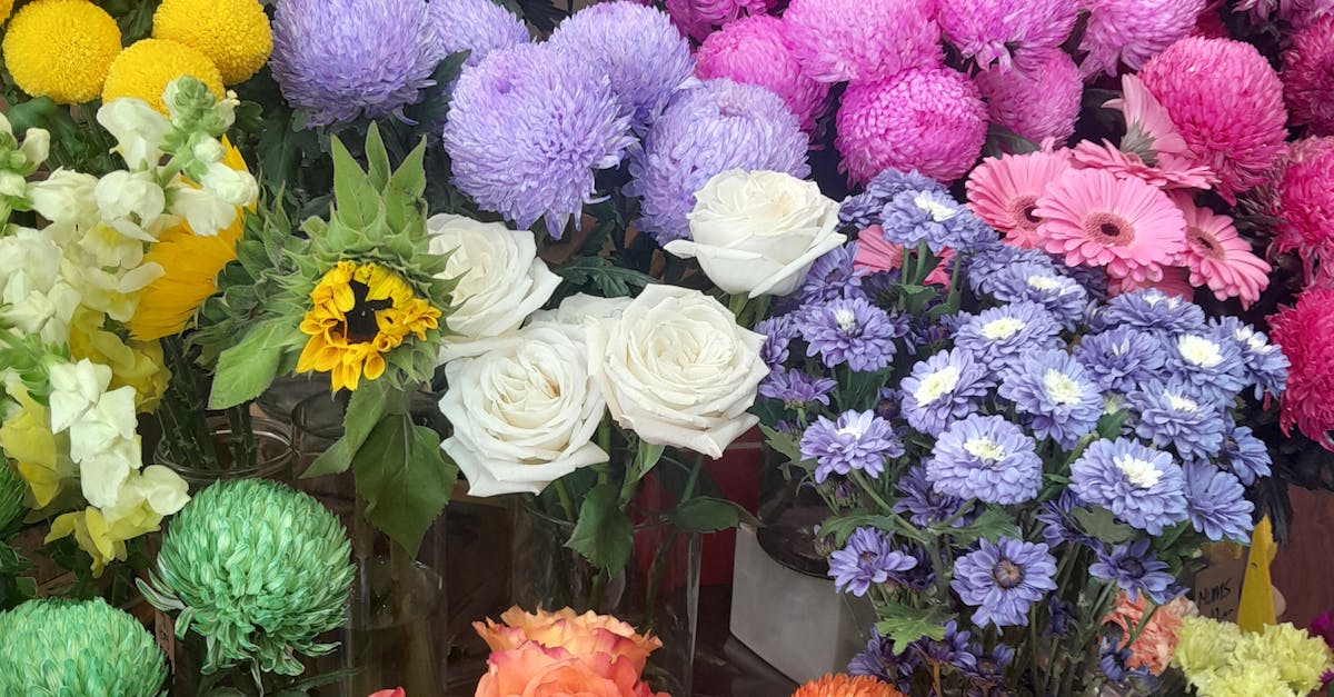 Eco-Friendly Mulch Options for Sustainable Blackwood Flower Care