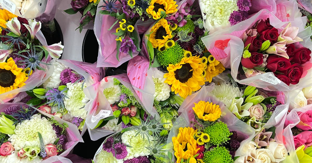 How Sunlight Affects Blooming Patterns in Blackwood Flowers