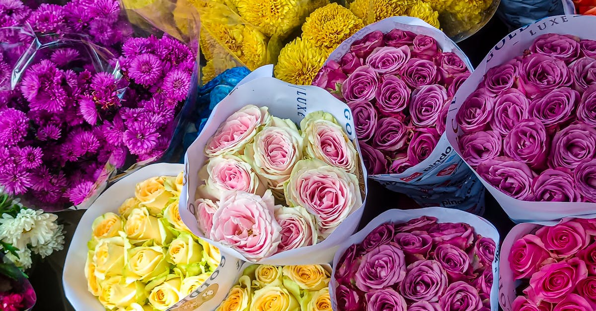 Iconic Native Australian Flowers for Your Garden