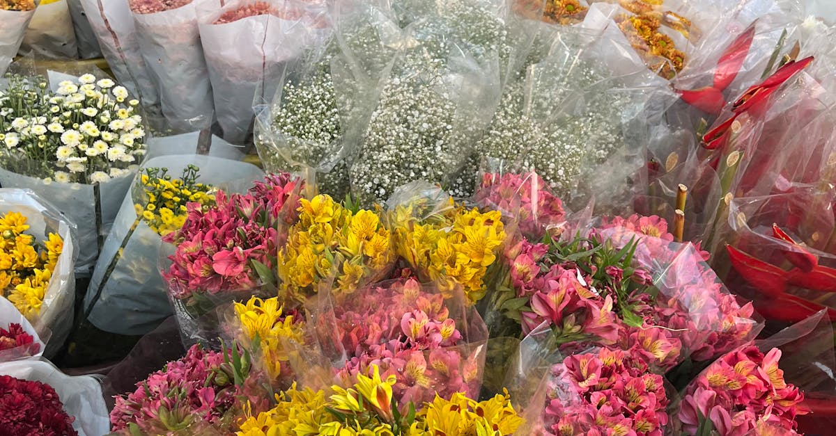 Identifying Common Pests Affecting Blackwood Flowers