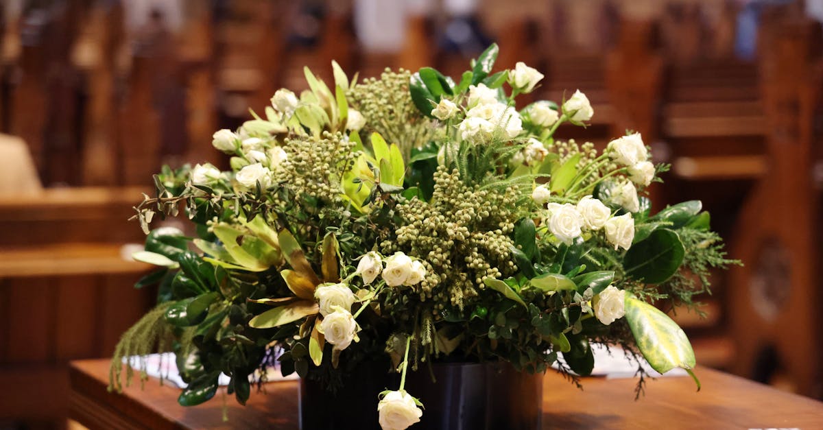 Impact of Urban Heat Islands on Blackwood Flower Health