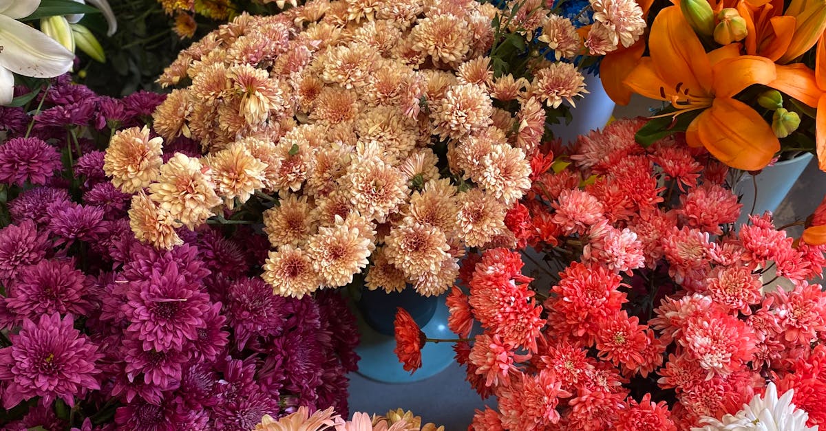 Integrated Pest Management for Blackwood Flower Gardens