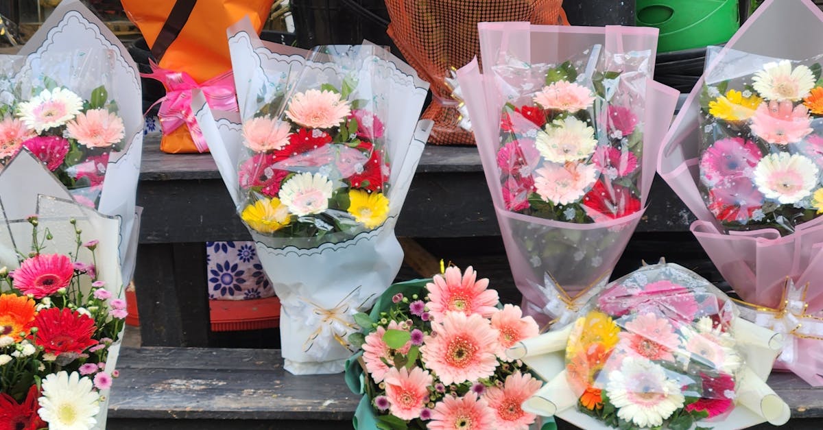 Maximising Flower Output with Correct Sunlight Placement in Blackwood