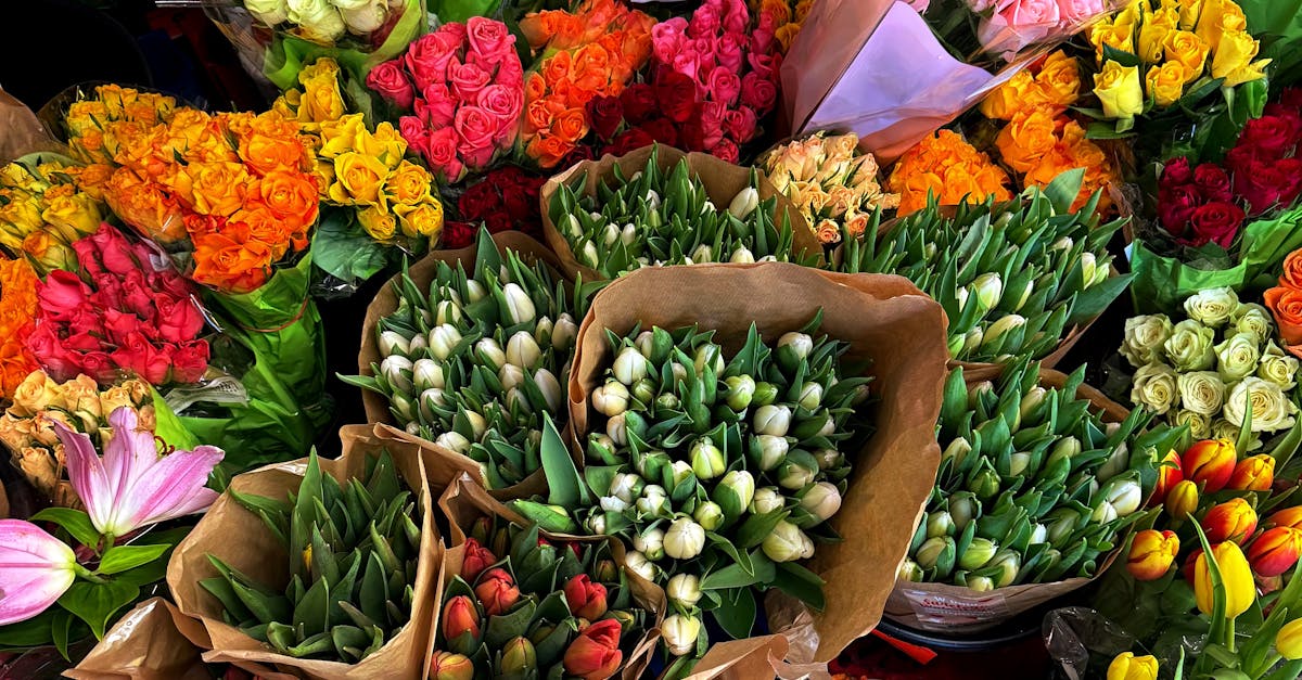 Nutrient Deficiencies in Flowers: Signs and Solutions for Blackwood