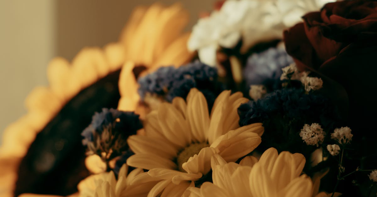 Rainwater Harvesting Tips for Watering Blackwood Flowers