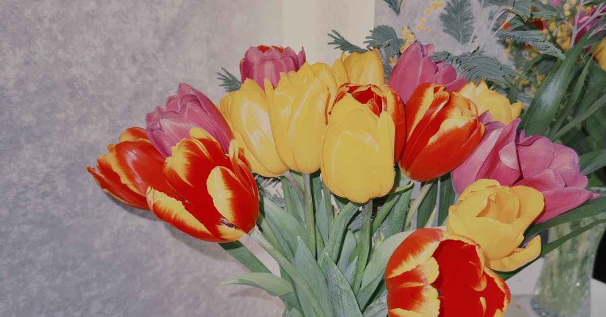 Seasonal Care Tips for Annual Flowers in Blackwood