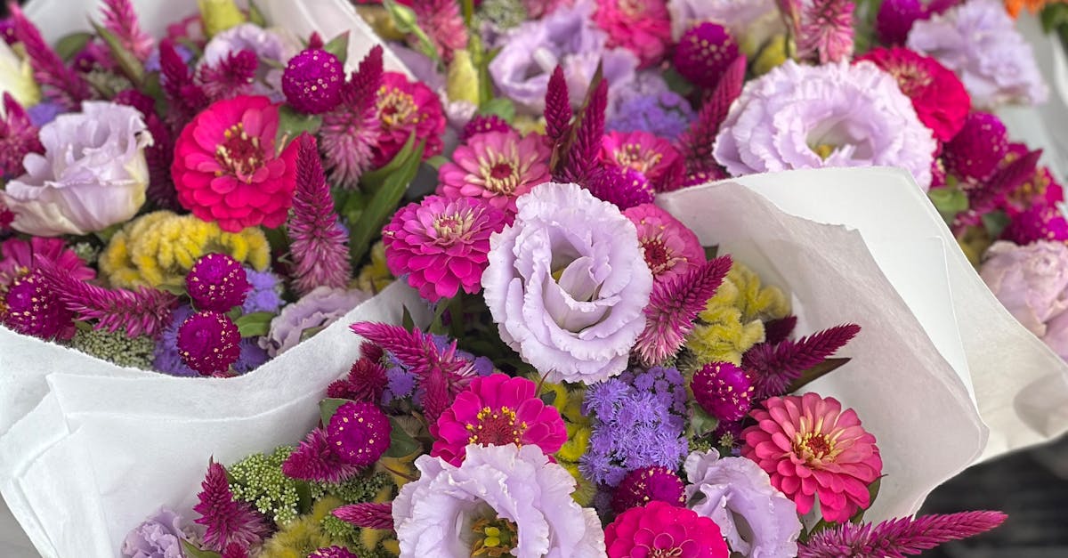 Strategies for Managing Sunlight for Blackwood Flower Gardens