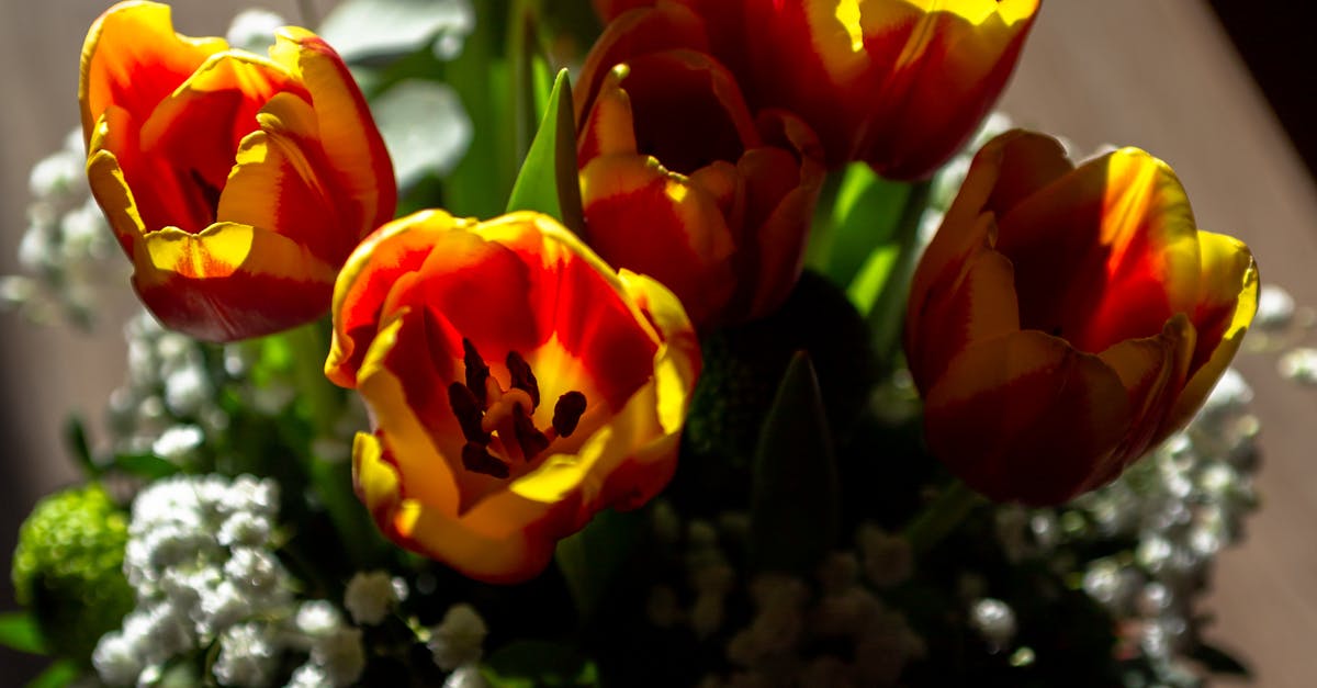 Techniques for Promoting Healthy Growth Through Pruning