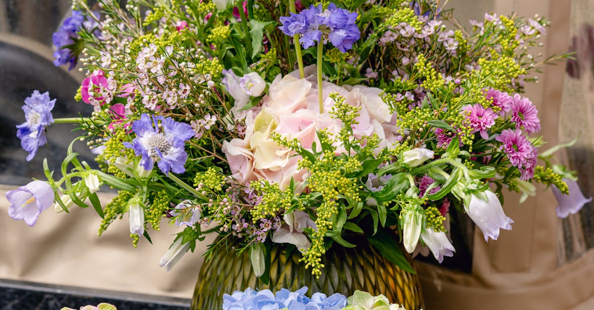 The Effect of Soil Compaction on Blackwood Flower Development