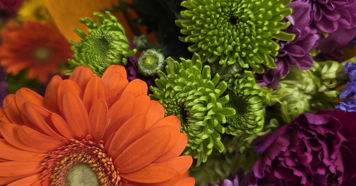 The Impact of Mulching on Water Retention for Blackwood Flowers