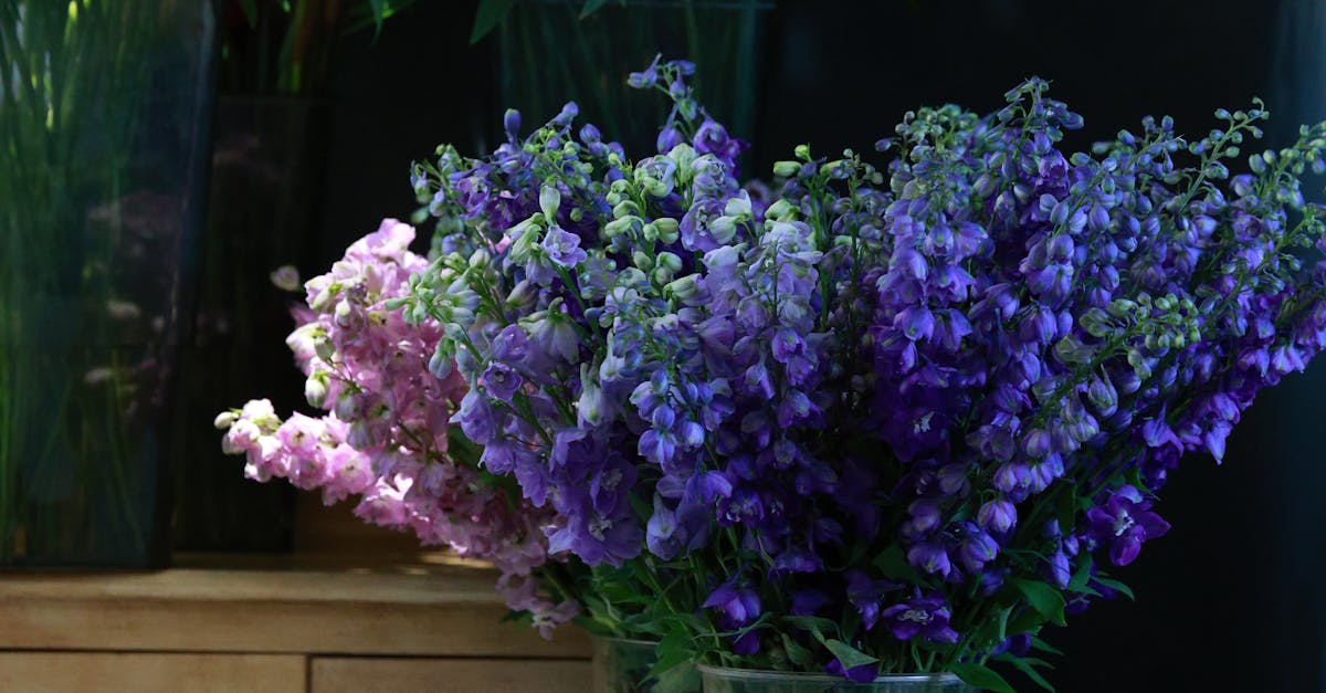 The Importance of Soil Testing Before Fertilisation