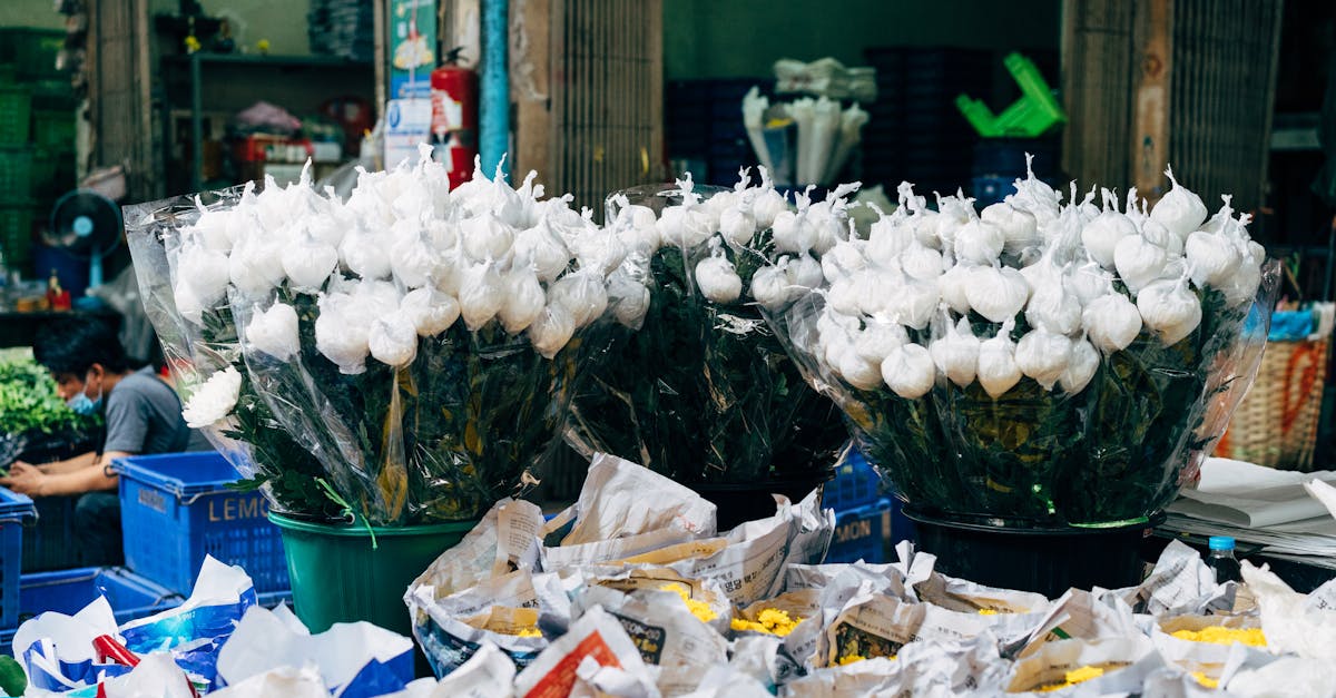 Timing Your Fertilisation: Best Practices for Seasonal Growth