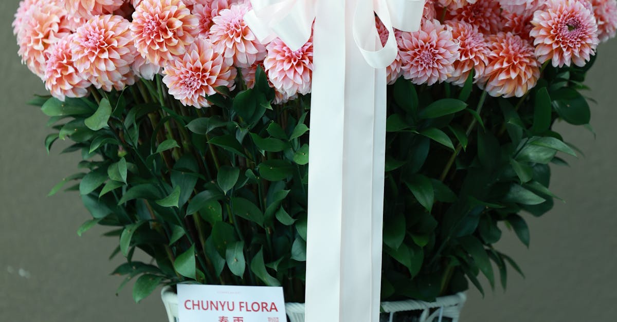 Understanding Sandy Soils for Blackwood Flower Growth