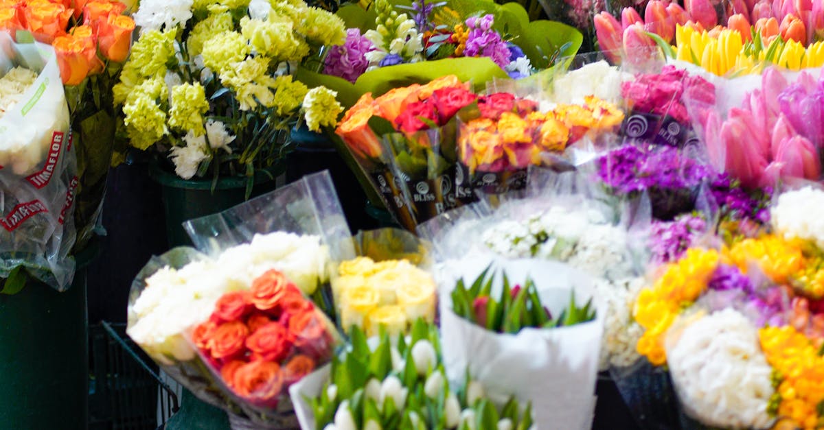 Unique Exotic Flowers for Australian Gardens